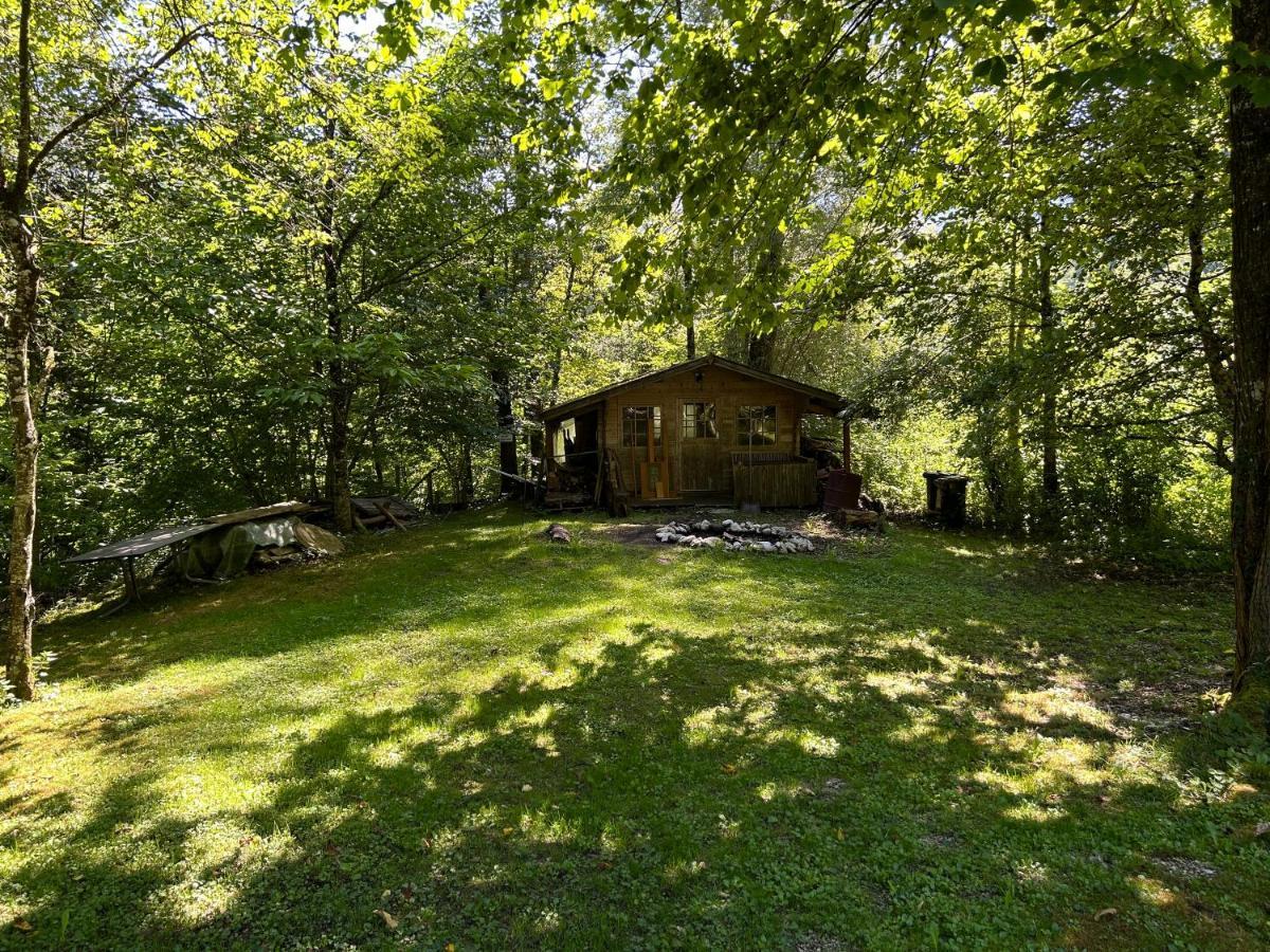 Haus Am Wald -Fewo 2 Marktschellenberg Ngoại thất bức ảnh